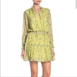 LIKE NEW NSR Cottagecore Emma Floral Dress